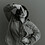 Cari_Bockholt