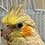 RJoy